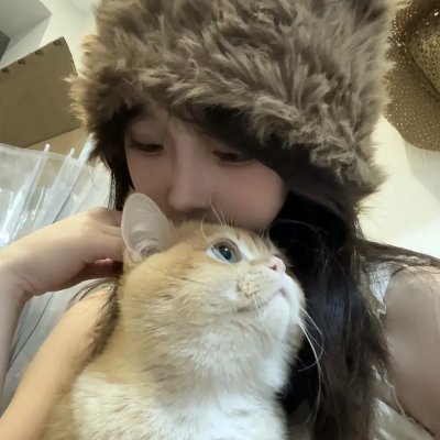 神台猫粤语